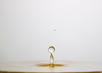 823A1F0B-A684-4E66-AF36-1161563943F2/L0/001
