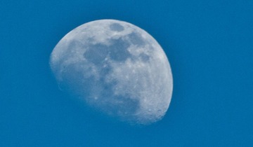 E5312325.jpg