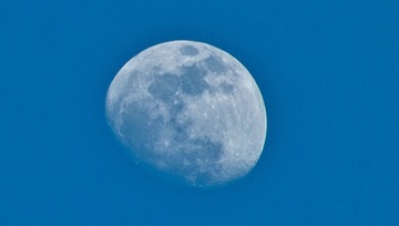 E6012448.jpg