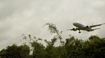 7278