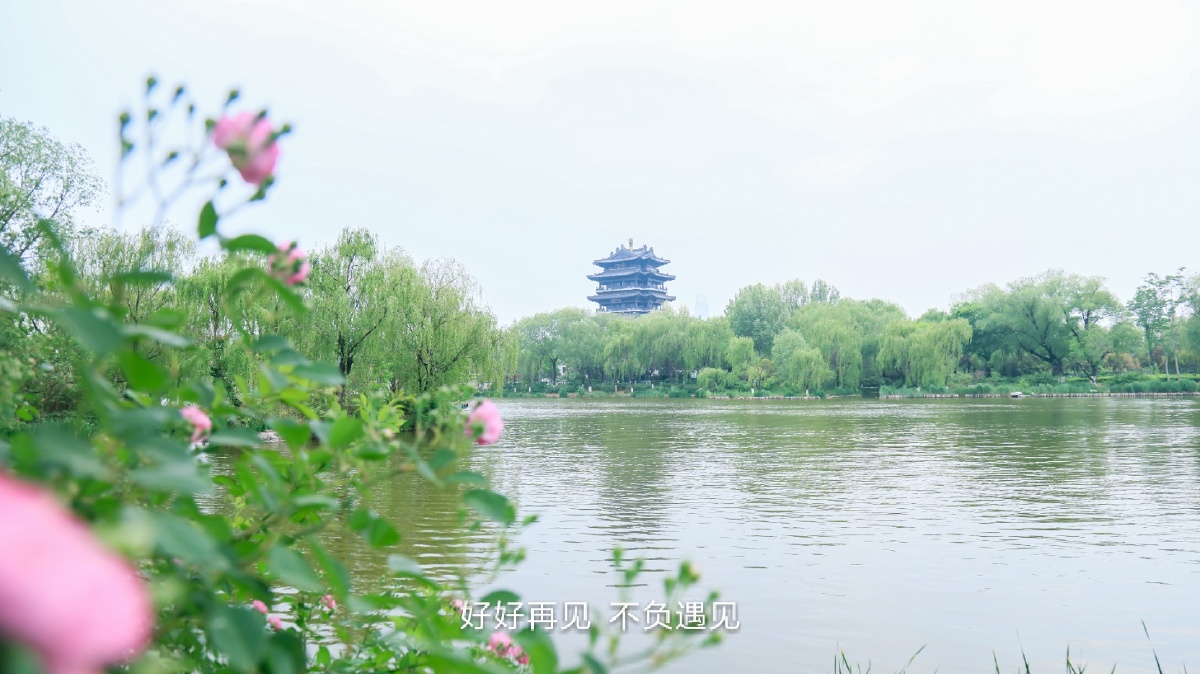 向前跑迎着冷眼和嘲笑