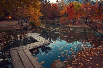 DSC_01001.jpg