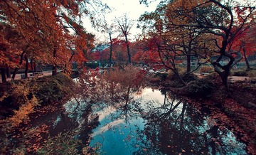DSC_01801.jpg