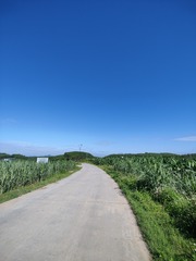 1000046713
