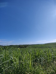 1000046710