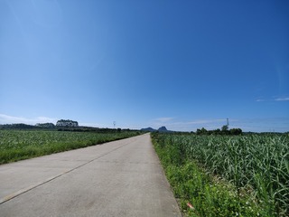 1000046716