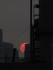 8548248F-A22F-4853-AF8E-E031F45EA198/L0/001