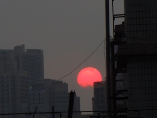 29D0D6D9-E7B9-483B-A113-8E2E1B2D9105/L0/001