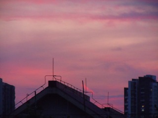 30C4CE6A-28A5-4448-80D2-3C05EA809B3D/L0/001