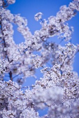 IMG_8512.jpg