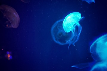 0F0A29DA-72AF-4471-BCF0-2D3C2A884E16/L0/001