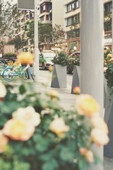 4185B5C1-CF12-44FB-808C-F44349796C1A/L0/001