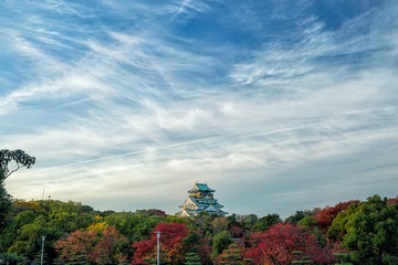 _P0A1491(2)