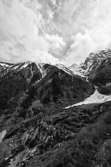 IMG_48991.jpg
