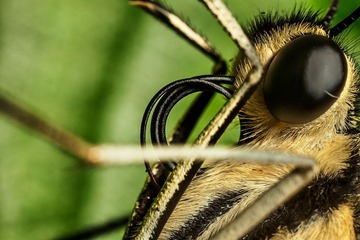 IMG_5927-编辑1.jpg