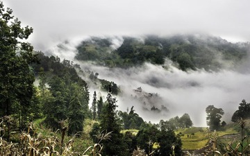 IMG_6176-编辑.jpg