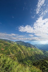 IMG_6046-编辑 副本.jpg