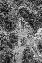 IMG_6161-编辑 副本.jpg