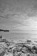 _MG_6565 (2).jpg