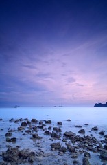_MG_6554.jpg