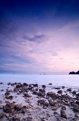 _MG_6556.jpg