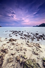 “_MG_6545”为智能对象-1.jpg