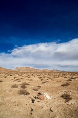 _MG_6745-编辑.jpg