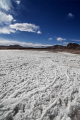 _MG_6786-编辑.jpg