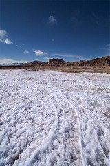 _MG_6788-编辑.jpg