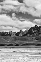 _MG_6795.jpg
