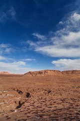 _MG_6802-编辑.jpg