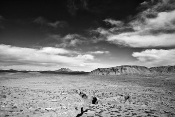 _MG_6805.jpg