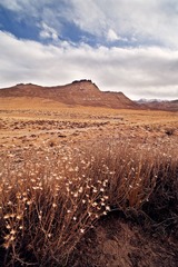 _MG_6816.jpg