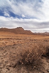 _MG_6818-编辑.jpg