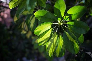 IMG_0040.jpg