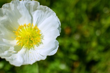 IMG_0089.jpg