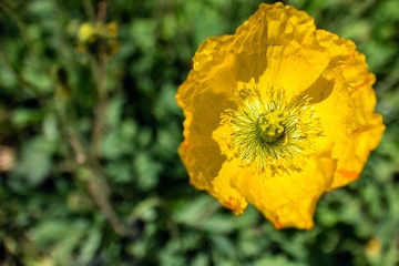 IMG_0090.jpg