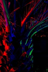 IMG_0480.jpg