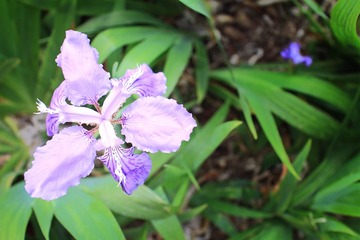 IMG_0713.jpg