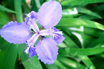 IMG_0714.jpg