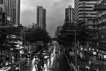 IMG_0852.jpg
