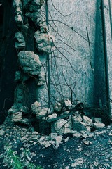 “_MG_1202”为智能对象-1.jpg
