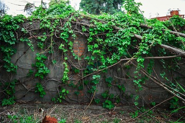 “_MG_1208”为智能对象-1.jpg