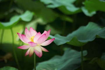 IMG_1848.jpg