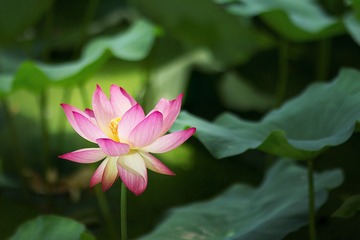 IMG_1849.jpg