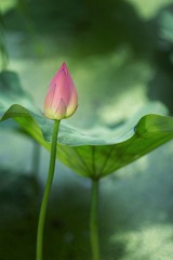 IMG_1869.jpg