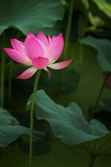 IMG_1879.jpg