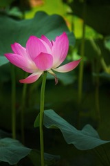 IMG_1880.jpg