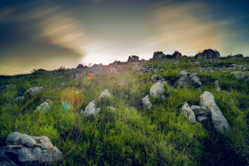 _DSC1345-编辑