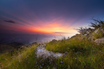 _DSC1353-编辑